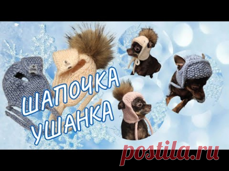 Шапочка ушанка для собак