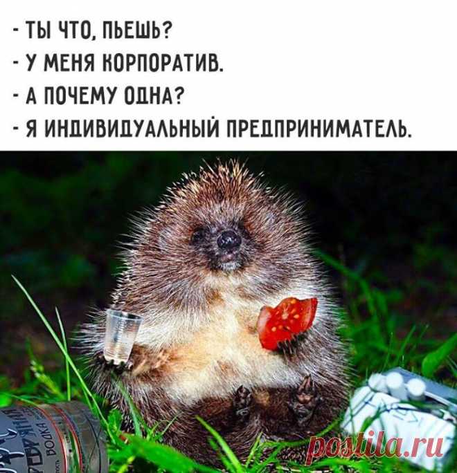| Фитнес для мозга | Постила