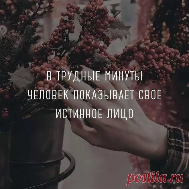 красивые картинки про жизнь со смыслом и надписями — Яндекс: нашлось 9 млн результатов