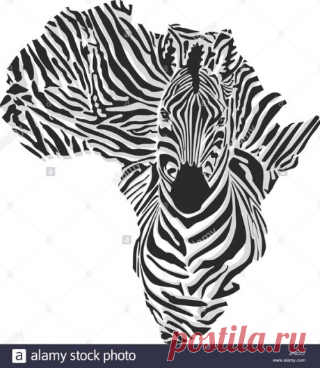 animal, africa, zebra, abstract, continent, vector, map, atlas, map of the Stock Vector Image & Art - Alamy