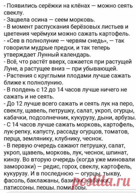 Присоединяйся и получай советы себе на страничку ПРЯМО СЕЙЧАС!
Мы в телеграмм: https://t.me/sovetydachniku
Мы в контакте: https://vk.com/dachnyehitrosti