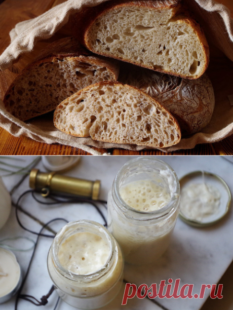 Технологии домашнего хлебопечения | блог | Хлебомолы