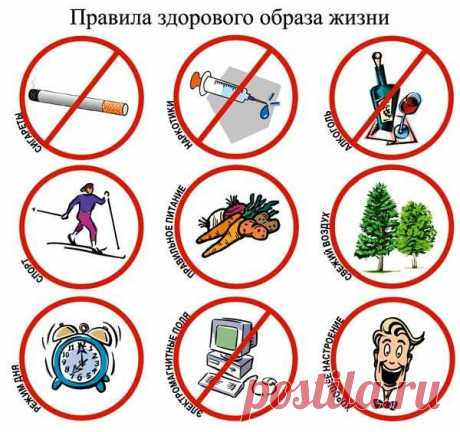 Картинки про ЗОЖ (42 фото) ⭐ Забавник