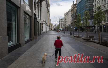 В Испании одобрили закон, обязывающий пройти обучение, чтобы завести собаку. Закон также предусматривает запрет на продажу собак, кошек и хорьков в зоомагазинах, а также их выставление на всеобщее обозрение в коммерческих целях