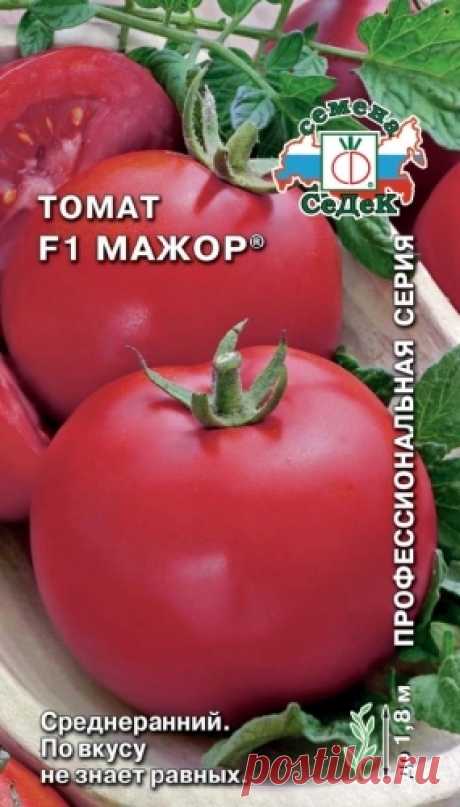 Томат Мажор: описание и характеристика, отзывы, фото | tomatland.ru