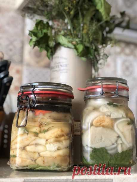 Рецепты зимних заготовок "Мамочкины вкусняшки". Как нужно и можно солить грузди на зиму | Каждодневные делАни | Дзен