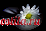 Омар Хайям. Мысль о жизни...