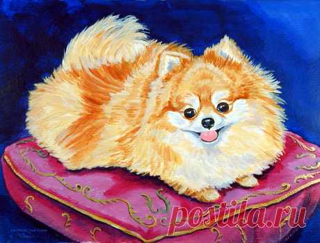 Adoration - Pomeranian by Lyn Cook Adoration - Pomeranian Painting by Lyn Cook