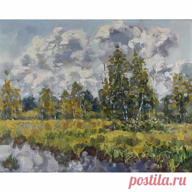 Autumn Painting Landscape Original Art Fall Nature Cloudy Day Birch Trees Canvas - Shop ArtDivyaGallery Posters - Pinkoi Autumn Painting Landscape Original Art Fall Nature Cloudy Day Birch Trees Canvas Plein Air Impasto Art by Natalya Savenkova 40 x 50 cm. (16 x 20 inches) Medium: canvas, oil. Style: Modern, Impressionist, Impasto. The painting is covered with a protective layer of professional varnish. It is painted on a stretched linen canvas. with professional paints.