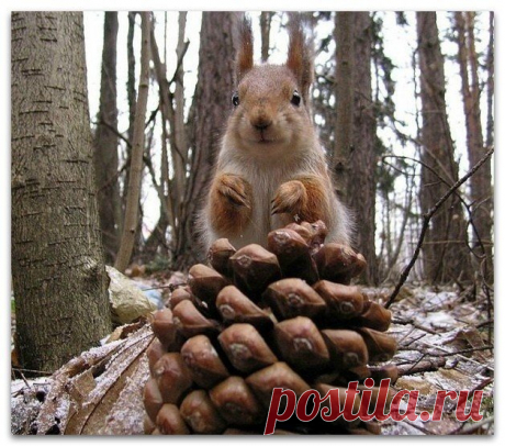 Человек с утра должен быть красивым!
Ха! Я вас умоляю... Человек с утра должен быть счастливым!