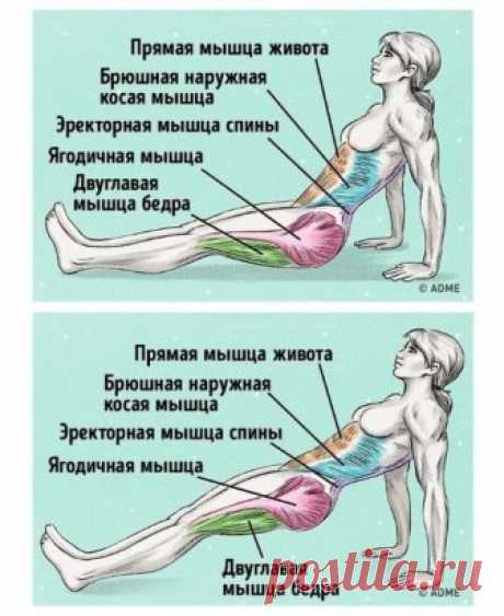 Упражнение, которое поможет убрать живот и исправить осанку
Как делать:
1. Сядьте на пол. Выпрямите ноги перед собой. Поставьте ладони на пол, расставьте пальцы для максимальной поддержки.
2. Наклоните торс под углом 45° к полу. Руки поставьте за ягодицы так, чтобы они находились на одном уровне с плечами.
3. Поддерживайте вес своего тела руками и пятками, поднимая ягодицы.
4. Поднимайте торс, ноги и ягодицы, пока они не будут расположены на одной линии, как при классической планке.
5. Напряги