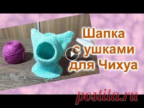 Шапка с ушками для собаки или кошки (418)/Вяжем спицами/МК Шапка с ушками для собаки или кошки. Вяжем спицами своими руками. Мастер класс. Ссылка на мой канал - Меня зовут Любовь. Если Вам интересно всё делать...