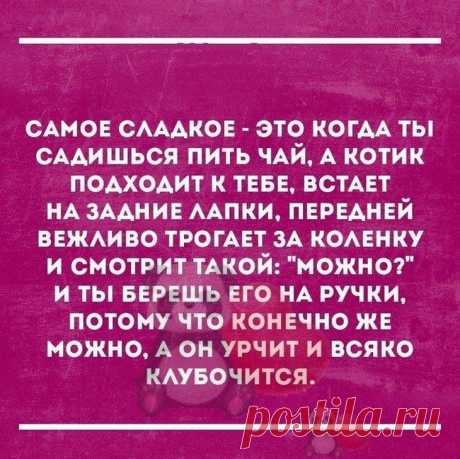 Интересная подборочка из 15 коротких смешных и жизненных рассказов из интернета Готова очередная подборочка из 15 самых интересных историй из сети и мы спешим поделиться ими с Вами!
Надеемся, что они придутся Вам по вкусу и улучшат настроение на весь день!
Итак, поехали…
1. 2. 3....