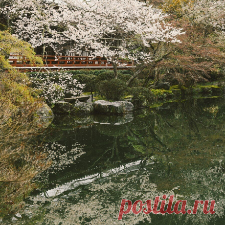 Киото — это та самая таинственная и ускользающая Япония, что вот уже несколько столетий будоражащая умы европейцев. Городу чудесным образом удалось сохранить наследие минувших эпох — древние храмы, целые районы традиционных деревянных домов-матия, сады камней, чайные домики и звуки японской лютни.