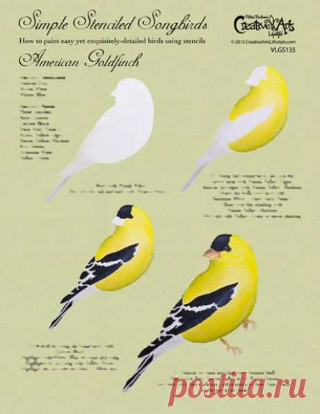American Goldfinch Worksheet