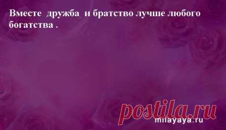 Картинки со статусами. Подборка №milayaya-status-38580204082020 . Милая Я