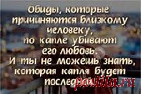 Яндекс Картинки: поиск похожих изображений