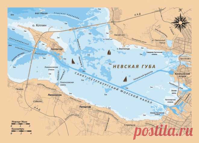 Невская губа в Санкт-Петербурге - об этом месте | Популярная наука | Яндекс Дзен