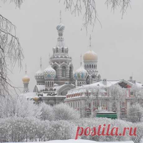 Зимняя сказка в Санкт-Петербурге