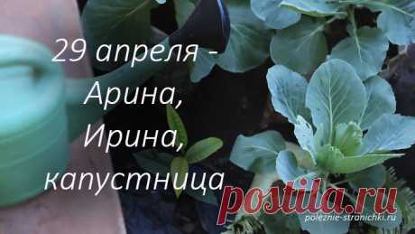 Приметы и запреты на 29 апреля в день Ирины, Арины, капустницы, рассадницы. Что надо сделать 29 апреля, а что делать не стоит 29 апреля