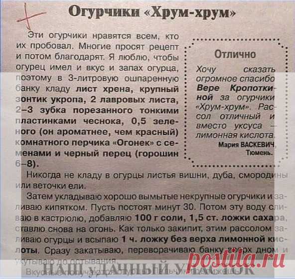 Огуpчики 