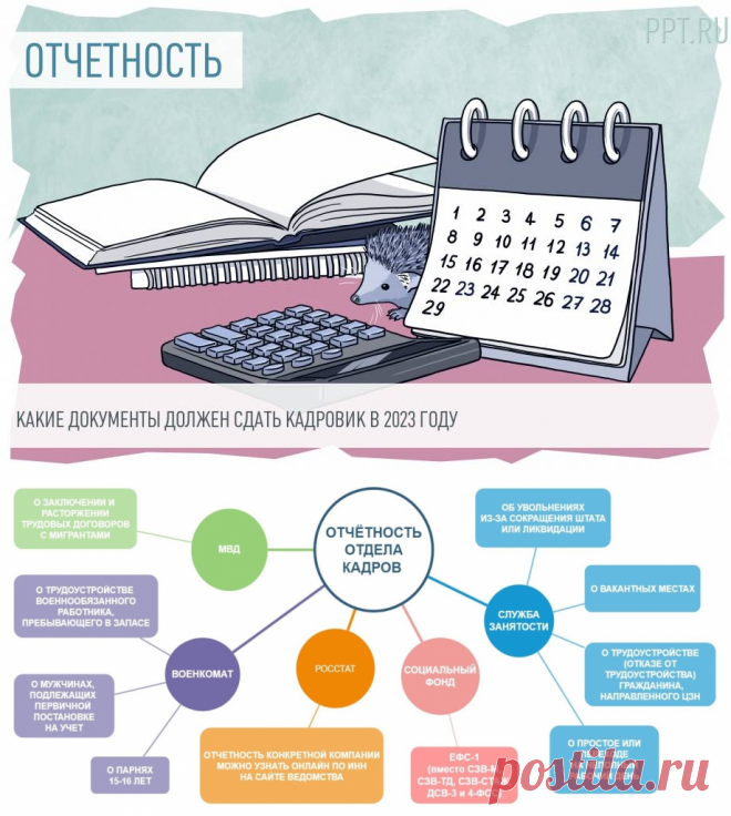 Какие отчеты сдавать по сотрудникам. Отчет отдела кадров. Отчеты отдела кадров в 2023 году таблица. Какие отчеты сдает отдел кадров. Экономический отдел отчет.