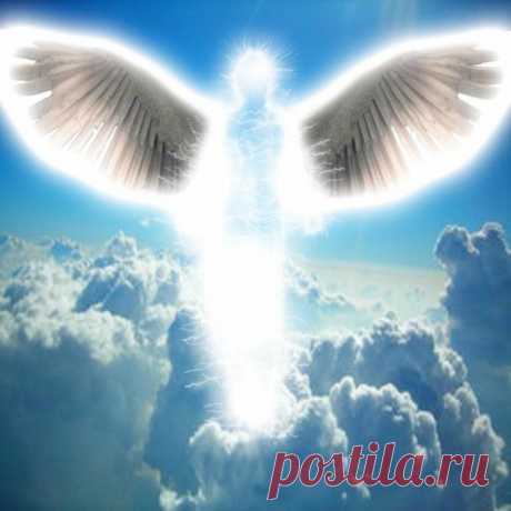 Утренняя птица, душу не тирань, Что тебе не спится в этакую рань, Утренняя птица, песен мне не пой, Мне мой ангел снится, долгожданный мой.