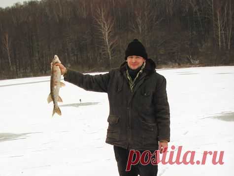 В начале зимнего сезона - Рыбалка - Охотники.ру