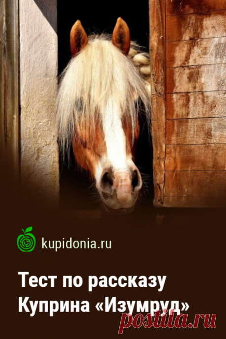 Тест по рассказу Куприна «Изумруд». Литературный тест по рассказу Александра Куприна. Проверьте свои знания!