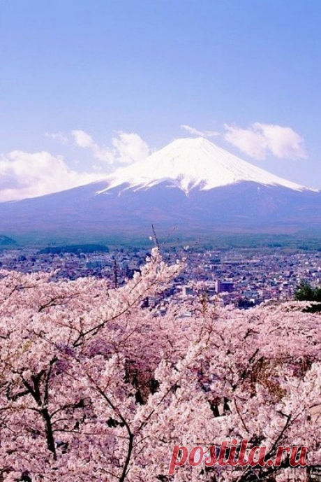 Красоты горы Фуджи - Путешествуем вместе