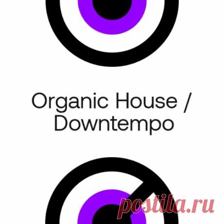 Beatport On Our Radar 2024: Organic House / Downtempo February 2024