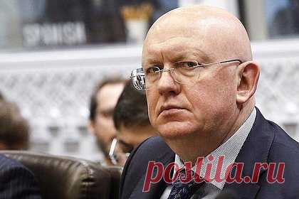 Небензя призвал использовать гумпаузы в секторе Газа для разрешения конфликта. Постоянный представитель РФ при ООН Василий Небензя заявил, что гуманитарные паузы в секторе Газа должны стать прологом к прекращению огня, а не «зеленым светом» на продолжение Израилем кровопролития. По его словам, важно использовать гумпаузы для урегулирования конфликта между Израилем и Палестиной.