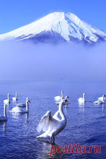 Mt. Fuji, Japan 富士山 | ⊱ beautiful places ⊰