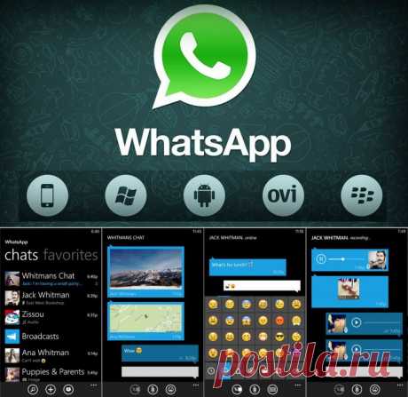 WhatsApp  2.17.1 - «Вацап» для Android, iPhone, iPad на Soft-File.ru