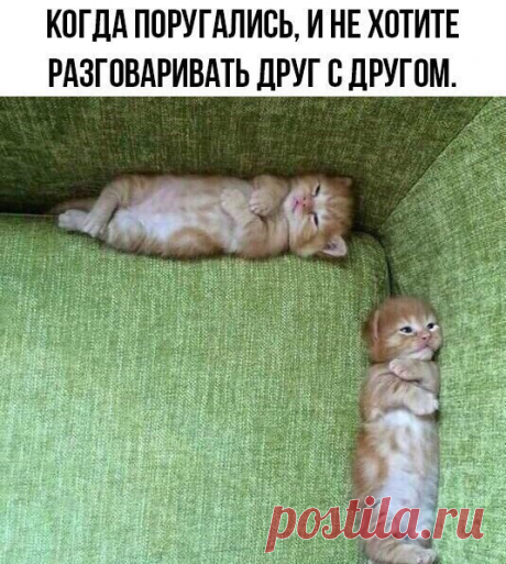 Малыши для души — Фото | OK.RU