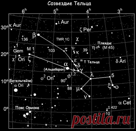 Картинки Созвездия Тельца (37 фото) ⭐ Забавник