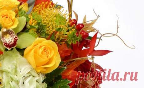 Kansas City Florist & Same-Day Flower Delivery | Toblers Flowers MO