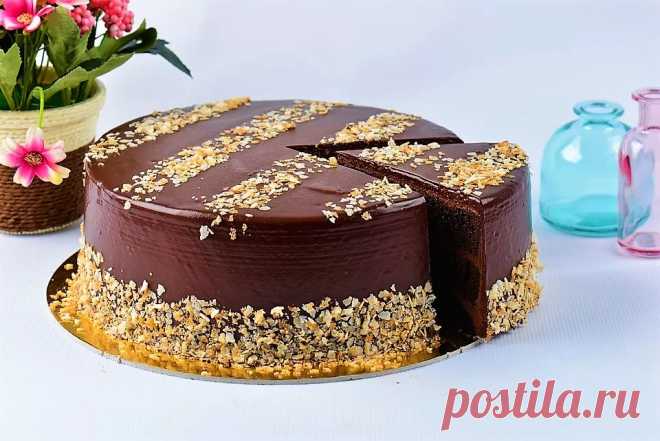 Торт Сладкоежка шоколадно ореховый - Журнал полезных сове
