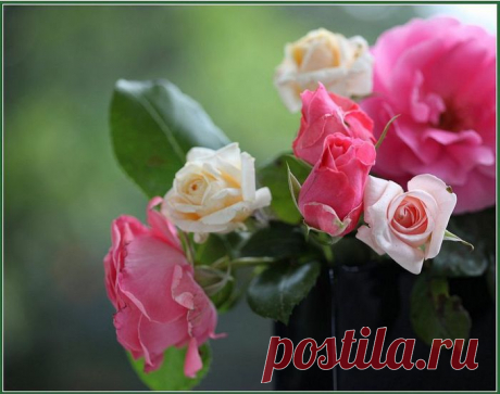 proxy.imgsmail.ru (700×553)