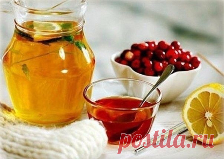 КАШЕЛЬ -17 РЕЦЕПТОВ !!!  **Редька с мёдом, Груши вареные и печеные, Брусничный сок с мёдом, Ингаляции с эвкалиптом, Компрессы, Бананы с мёдом, Морковь с молоком, Компресс с уксусом и олив/маслом, Финики -напиток, Изюм, Яблочная смесь, Яблоко -микс, Калина с мёдом -чай, Какао, Мёд -водка -желток,  Огненное молоко, Леденцы от кашля с имбирём.