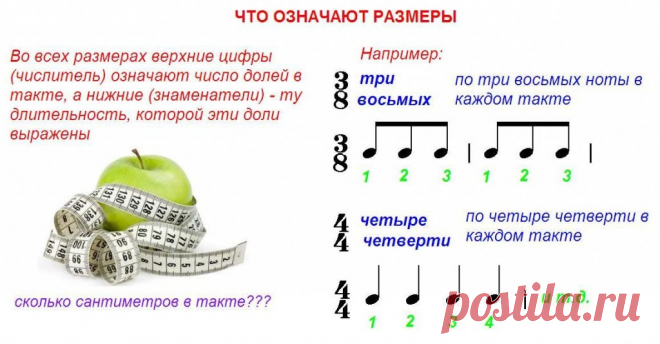 Длительности нот в картинках для детей (43 фото) ⭐ Забавник