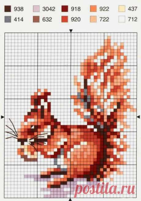 (36) Pinterest