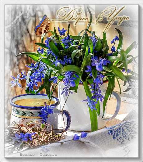 «кофе с цветами доброе утро» — карточка пользователя Dolphin в Яндекс.Коллекциях