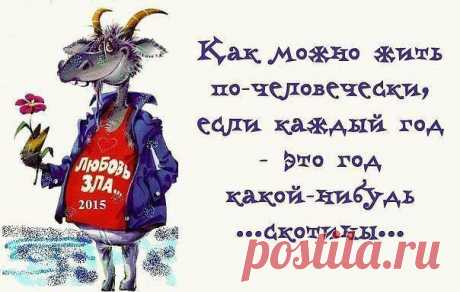 Интересные новости