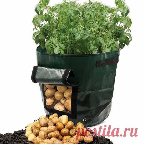 Free Shipping 50L Large Capacity Potato Grow Planter PE Container Bag Pouch Tomato Window Garden - Newchic