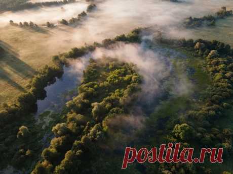 Раннее утро на реке Озерне, Подмосковье. Автор фото — aranid: nat-geo.ru/community/user/18989