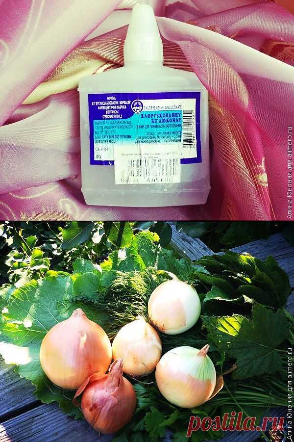 Эффективное лечение фурункула в домашних условиях / Здоровье