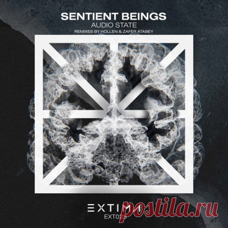 Audio State (RO) – Sentient Beings [EXT023]