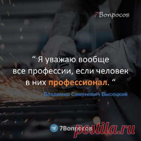 7Вопросов “ Я уважаю вообще все профессии, если человек в них профессионал. “ © Владимир Семенович Высоцкий