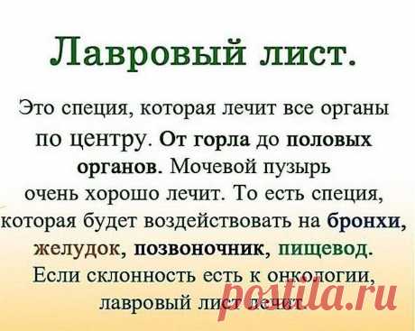 ЛАВРОВЫЙ ЛИСТ В ПОМОЩЬ